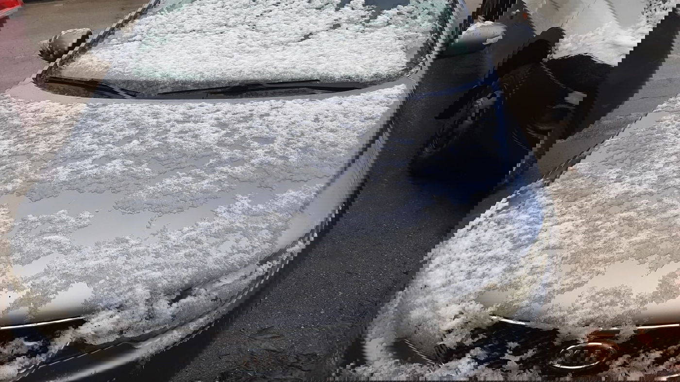 צפו בפתיתי השלג הרכים, שירדו בגוש עציון