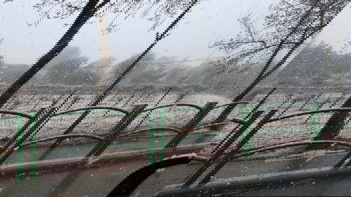 צפו בפתיתי השלג הרכים, שירדו בגוש עציון