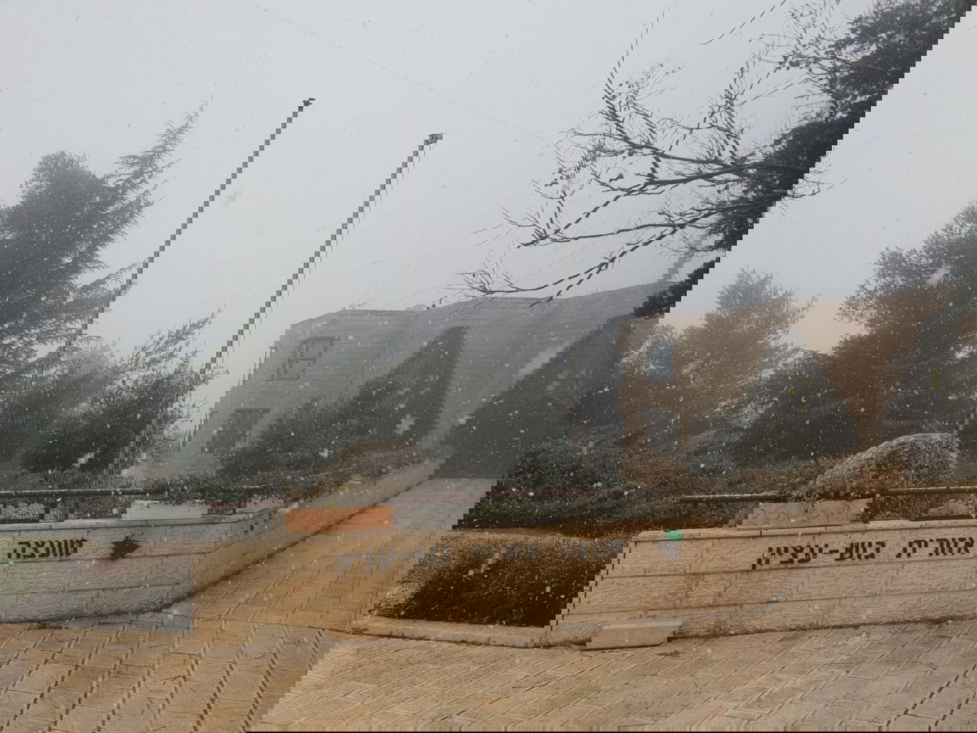 צפו בפתיתי השלג הרכים, שירדו בגוש עציון