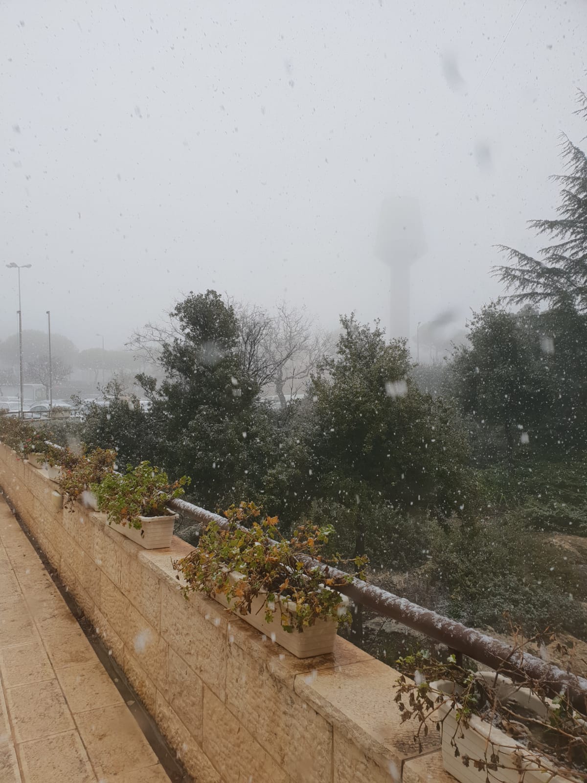 צפו בפתיתי השלג הרכים, שירדו בגוש עציון