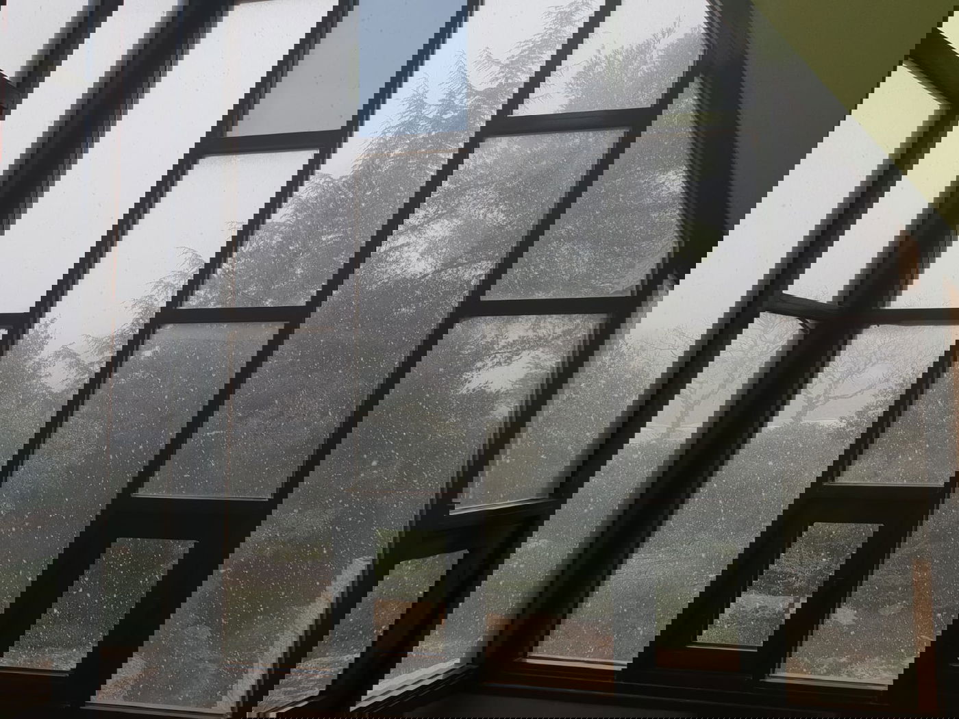 צפו בפתיתי השלג הרכים, שירדו בגוש עציון