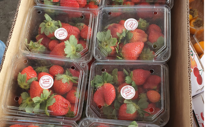 המשטרה החרימה עשרות ארגזים עם תותים