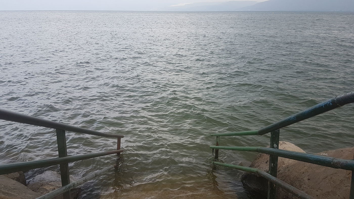 "טוב להודות להשם": גלריית חורף מהכנרת