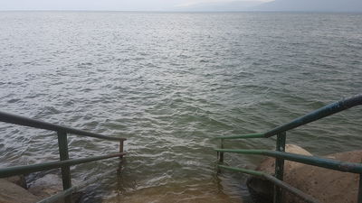 "טוב להודות להשם": גלריית חורף מהכנרת