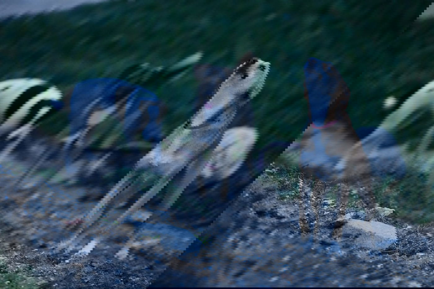 חוף הרצליה בשקיעה חורפית וצבעונית