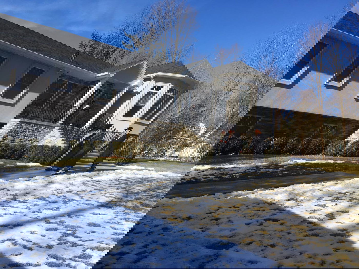 המסע של הרבי מצאנז בקרב חסידיו בארה"ב