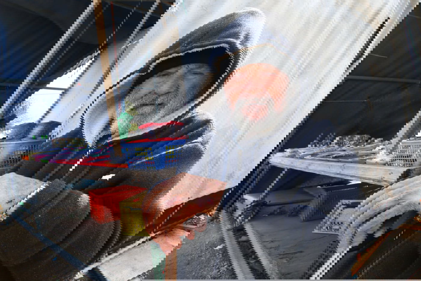 ערב ההילולא: התפילות על ציון הבבא סאלי