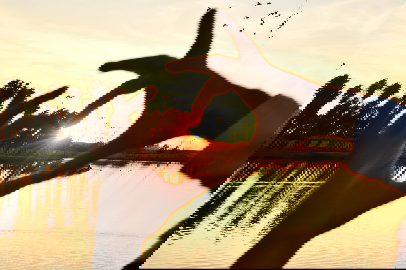 גלריית חורף מפארק מנחם בגין בתל אביב