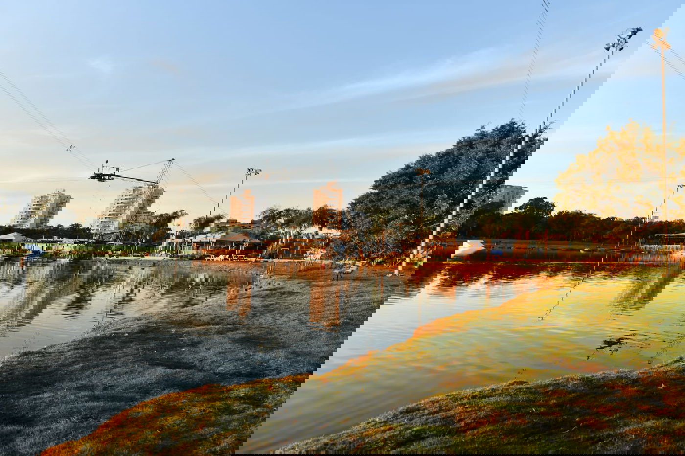 גלריית חורף מפארק מנחם בגין בתל אביב