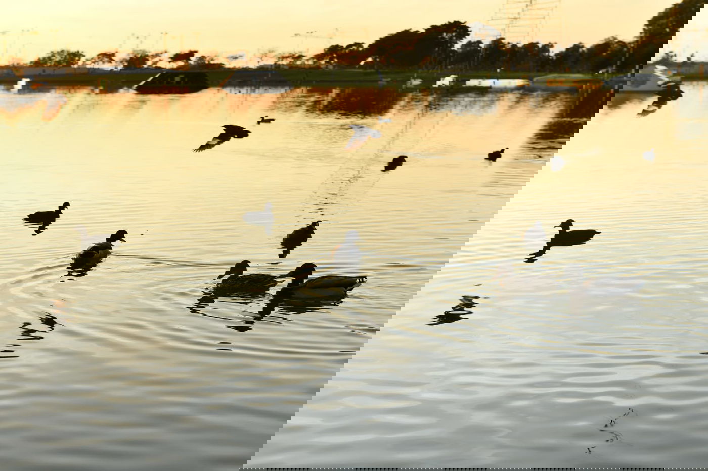 גלריית חורף מפארק מנחם בגין בתל אביב