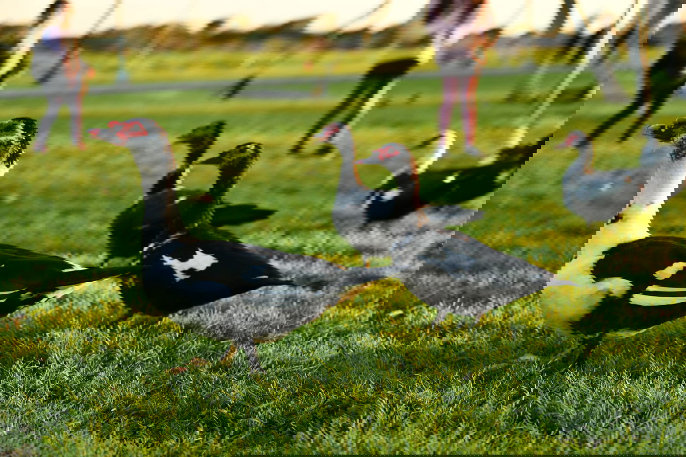 גלריית חורף מפארק מנחם בגין בתל אביב