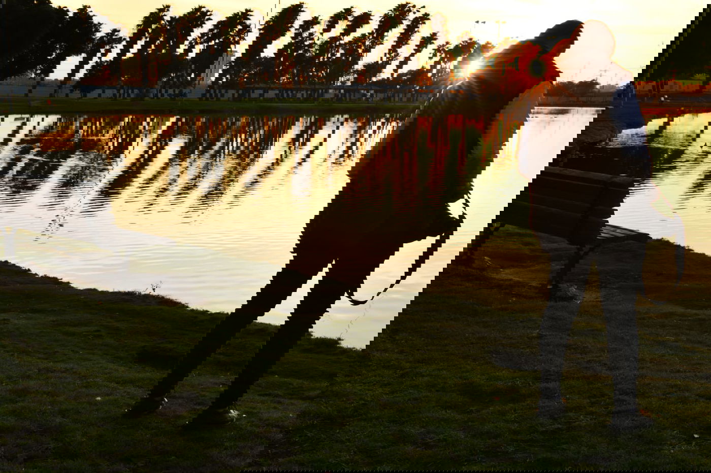 גלריית חורף מפארק מנחם בגין בתל אביב