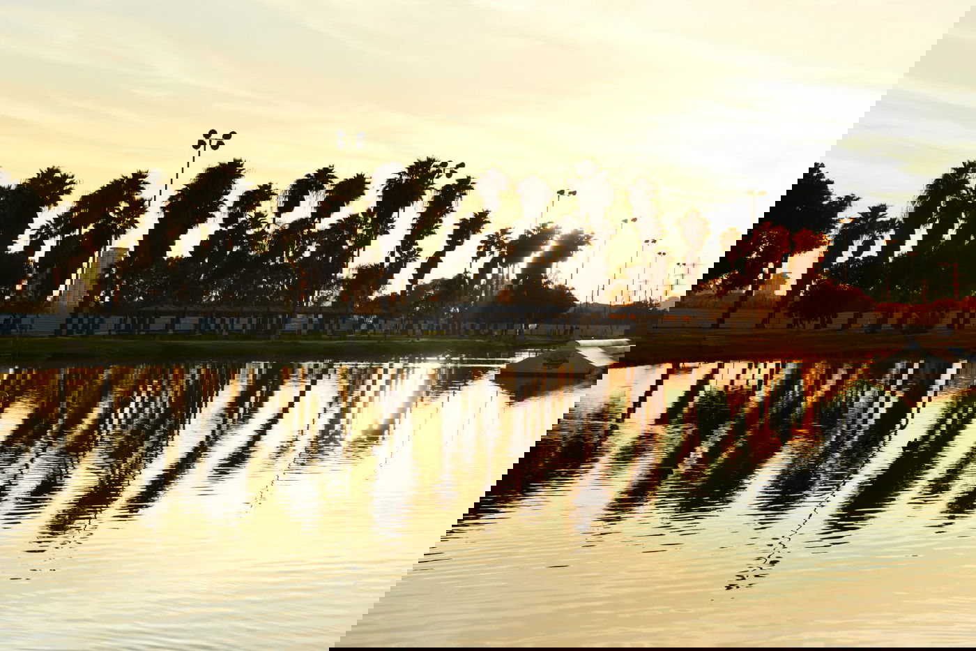 גלריית חורף מפארק מנחם בגין בתל אביב