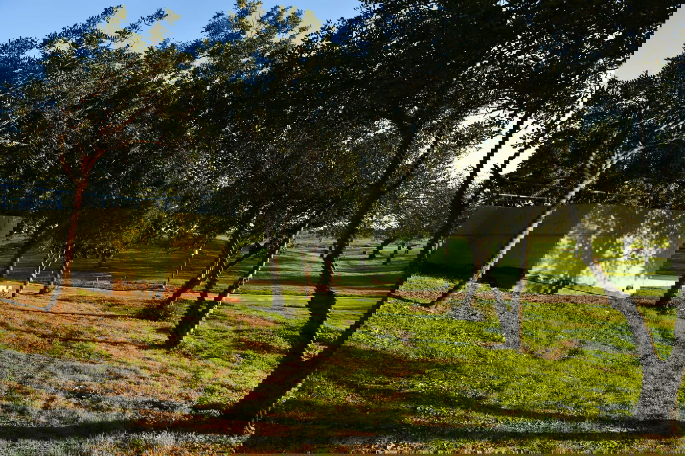 גלריית חורף מפארק מנחם בגין בתל אביב