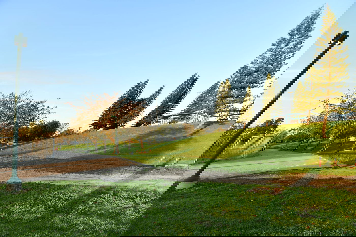 גלריית חורף מפארק מנחם בגין בתל אביב