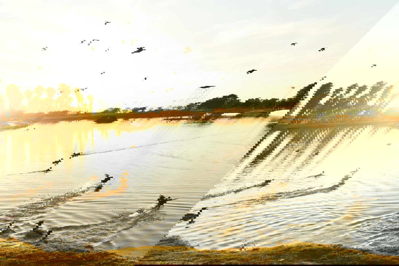 גלריית חורף מפארק מנחם בגין בתל אביב