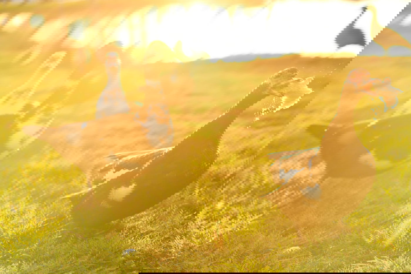 גלריית חורף מפארק מנחם בגין בתל אביב