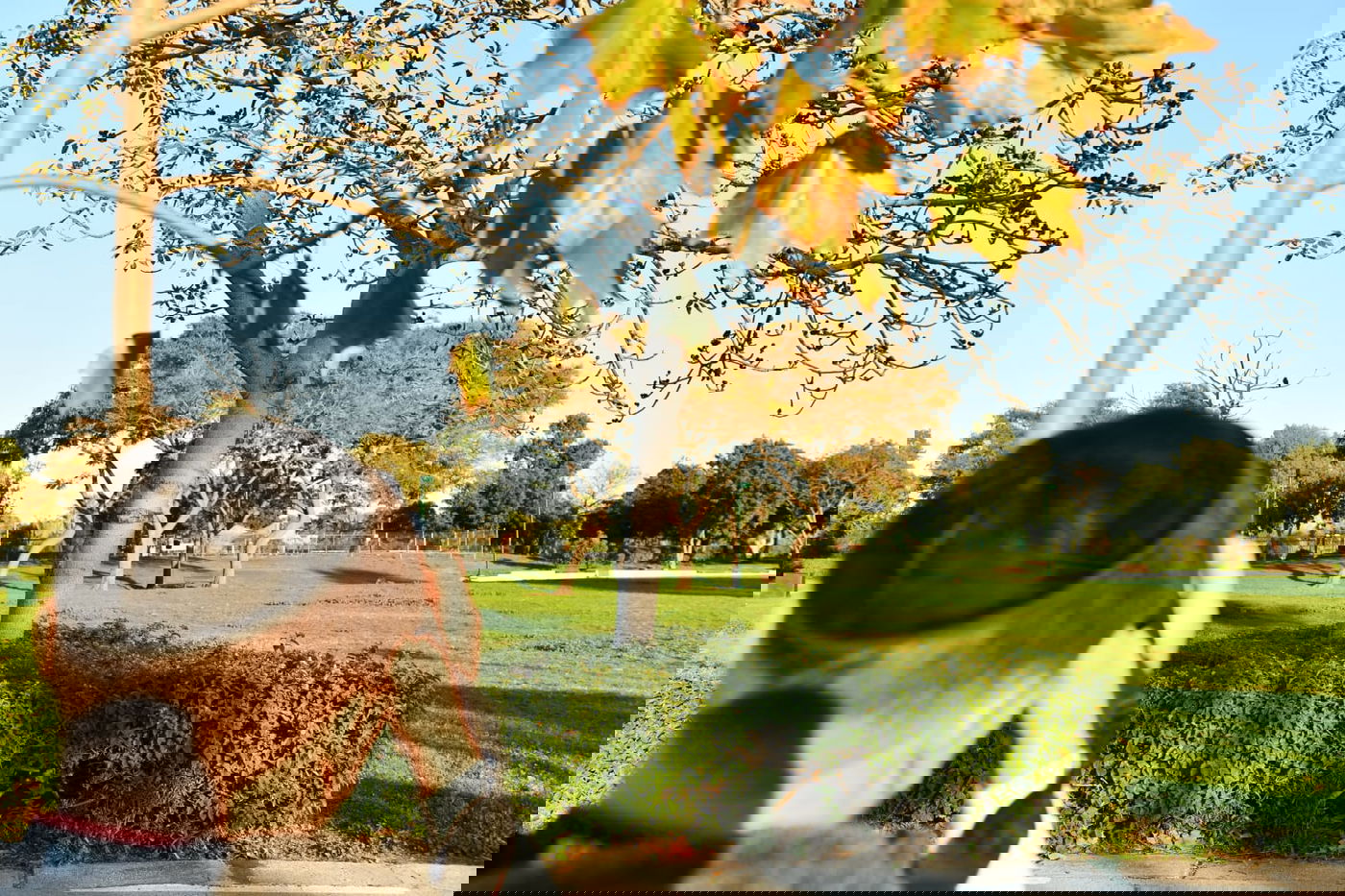 גלריית חורף מפארק מנחם בגין בתל אביב