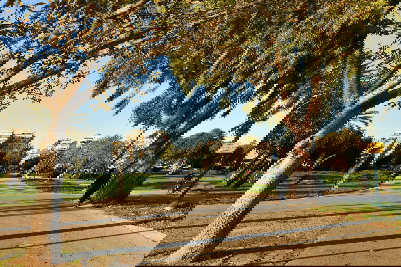 גלריית חורף מפארק מנחם בגין בתל אביב