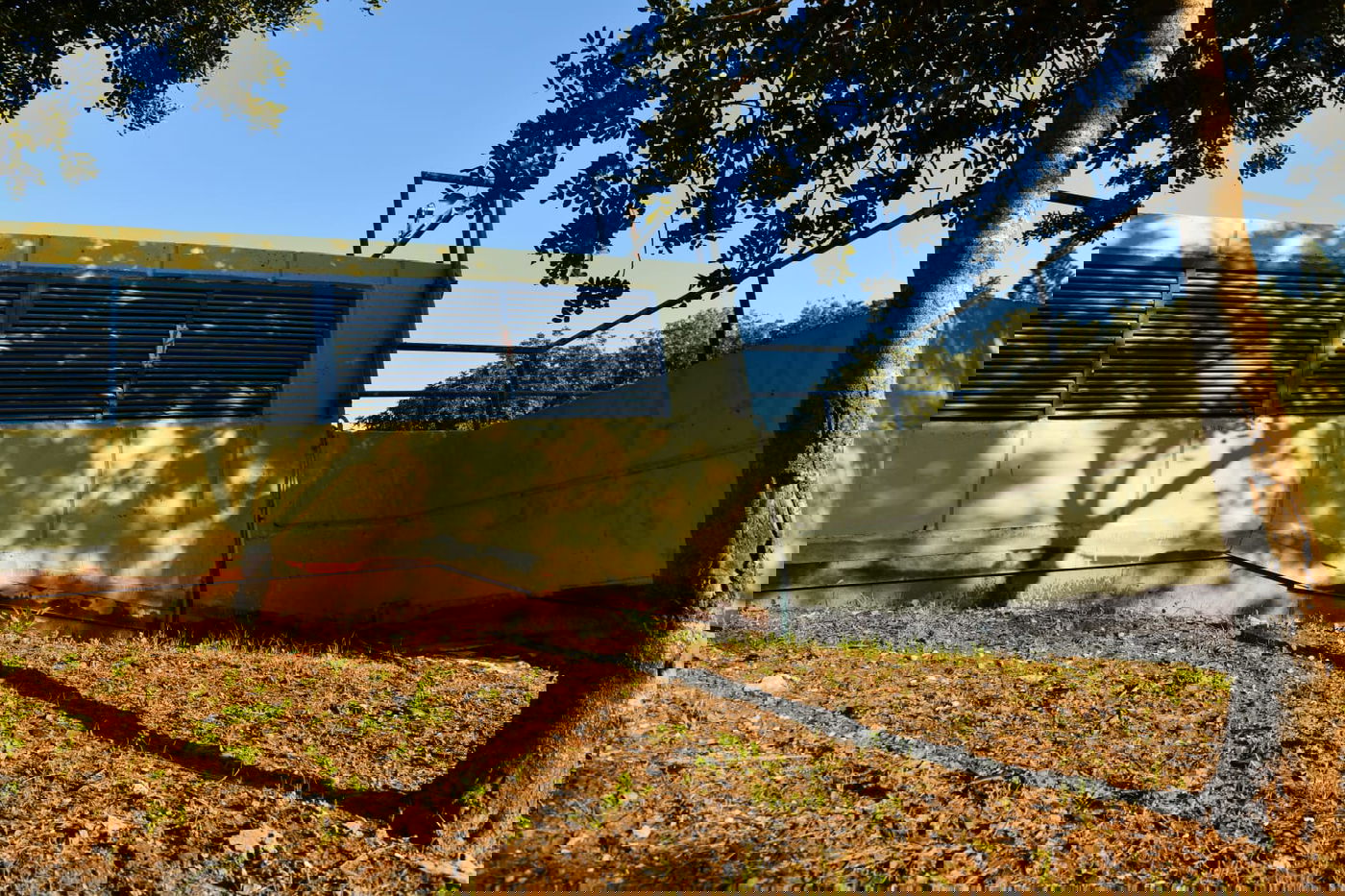 גלריית חורף מפארק מנחם בגין בתל אביב