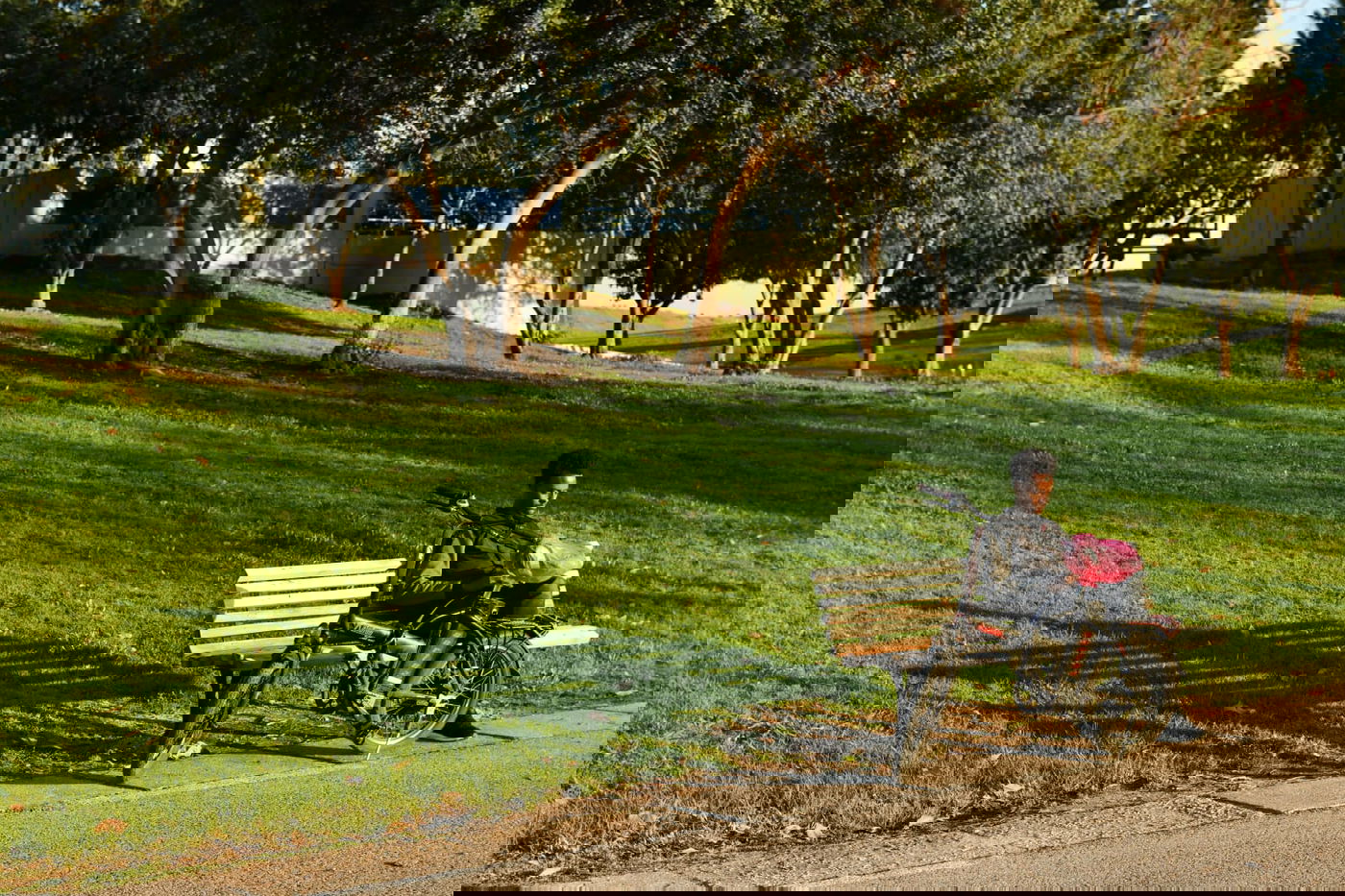 גלריית חורף מפארק מנחם בגין בתל אביב