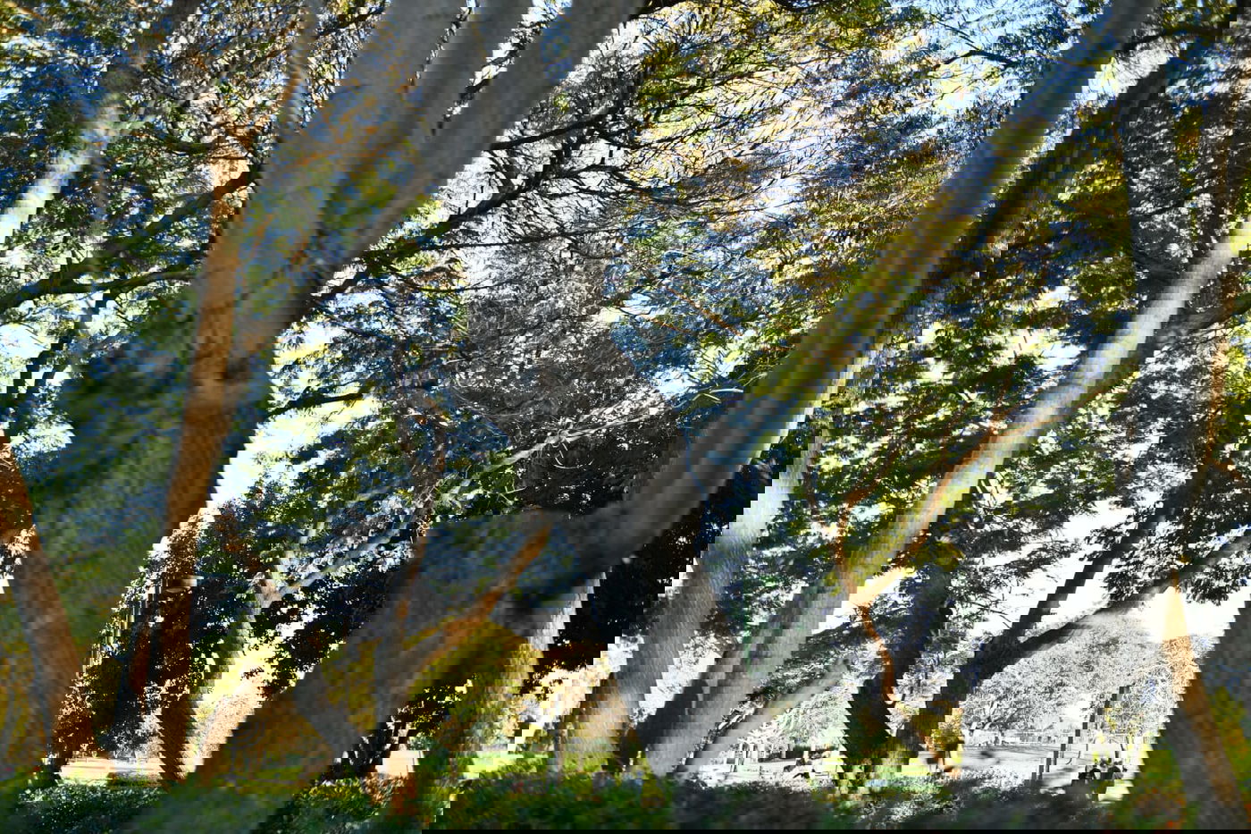 גלריית חורף מפארק מנחם בגין בתל אביב