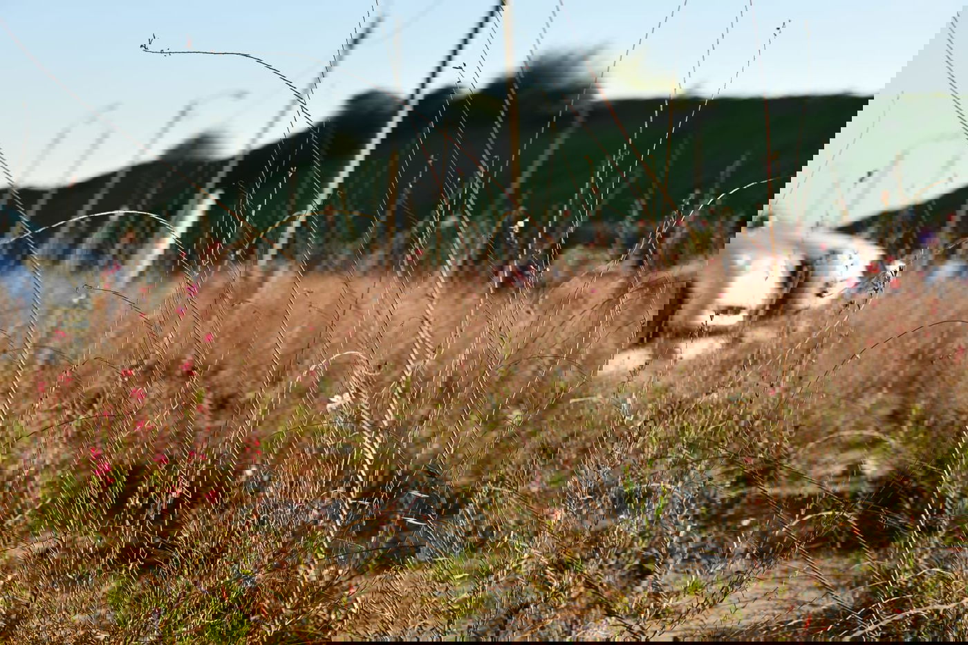 גלריית חורף מפארק מנחם בגין בתל אביב