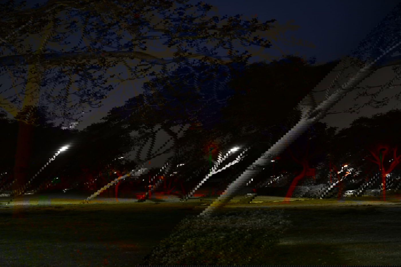 גלריית חורף מפארק מנחם בגין בתל אביב