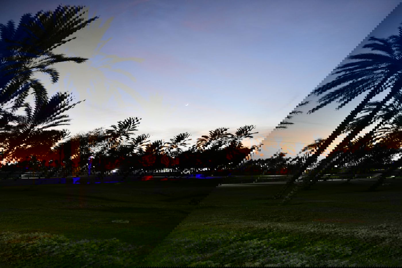 גלריית חורף מפארק מנחם בגין בתל אביב