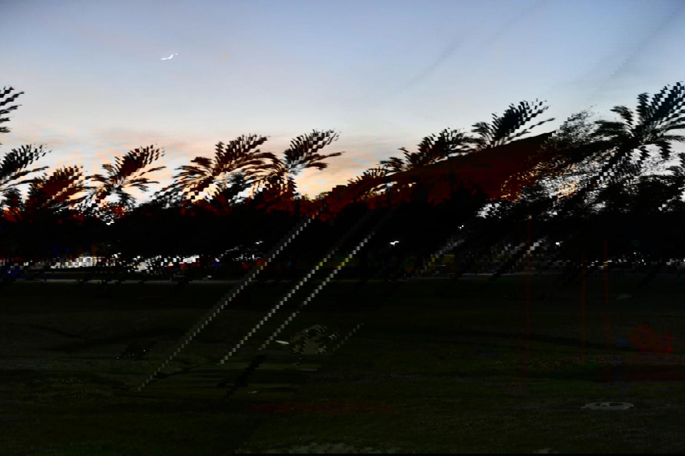 גלריית חורף מפארק מנחם בגין בתל אביב