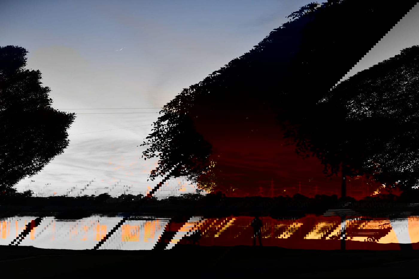 גלריית חורף מפארק מנחם בגין בתל אביב