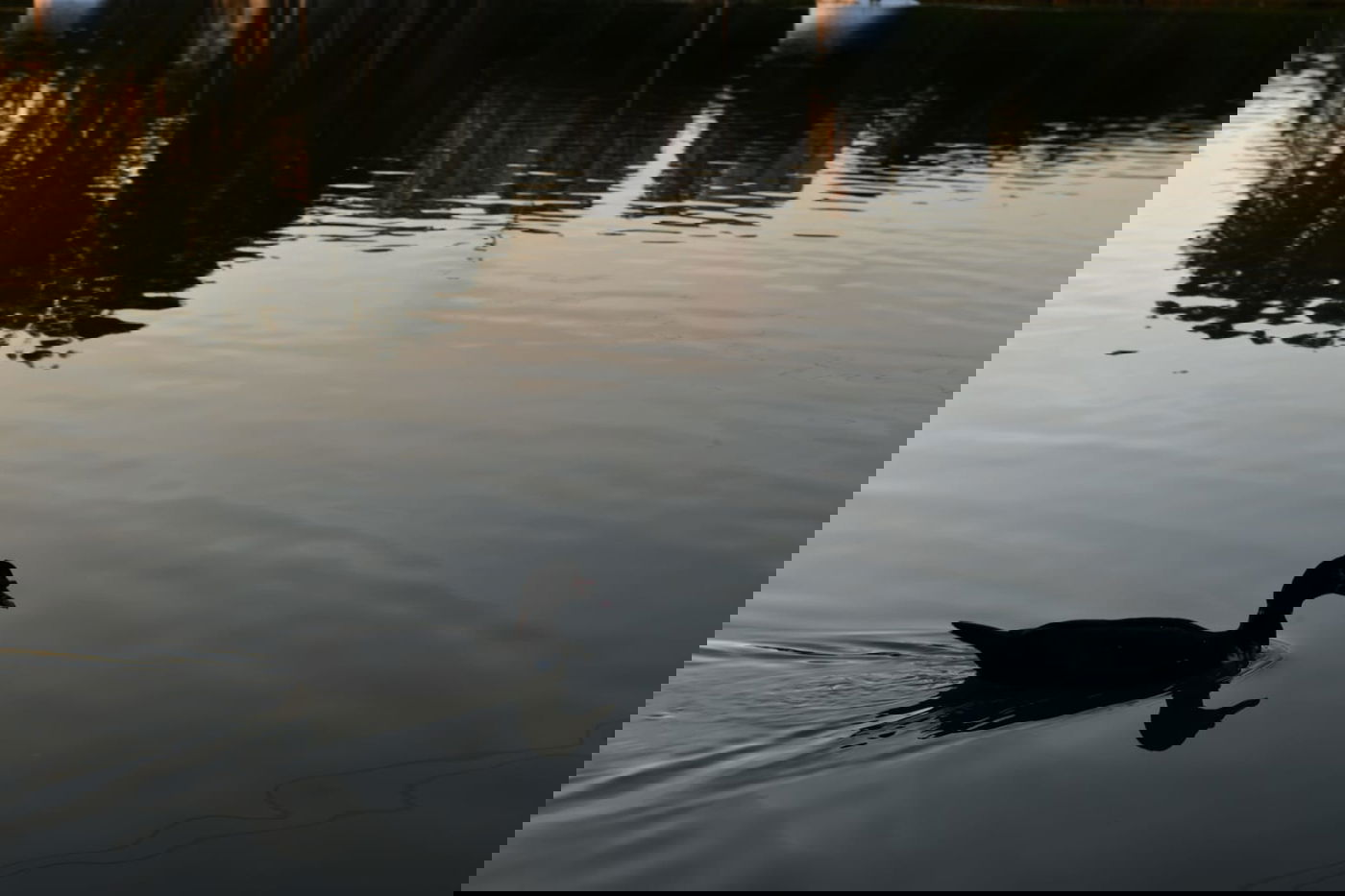 גלריית חורף מפארק מנחם בגין בתל אביב