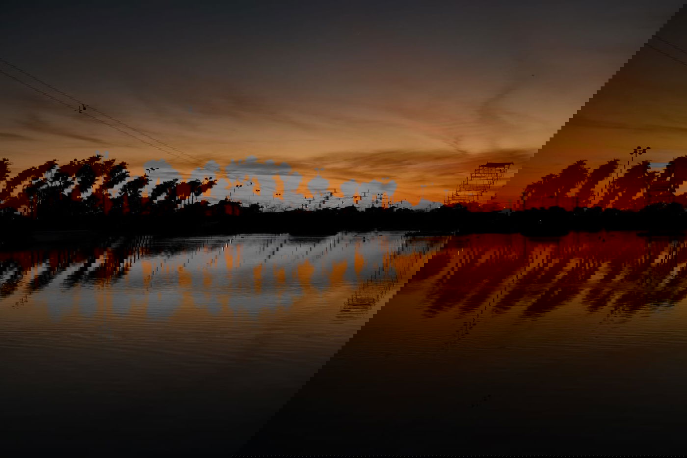 גלריית חורף מפארק מנחם בגין בתל אביב