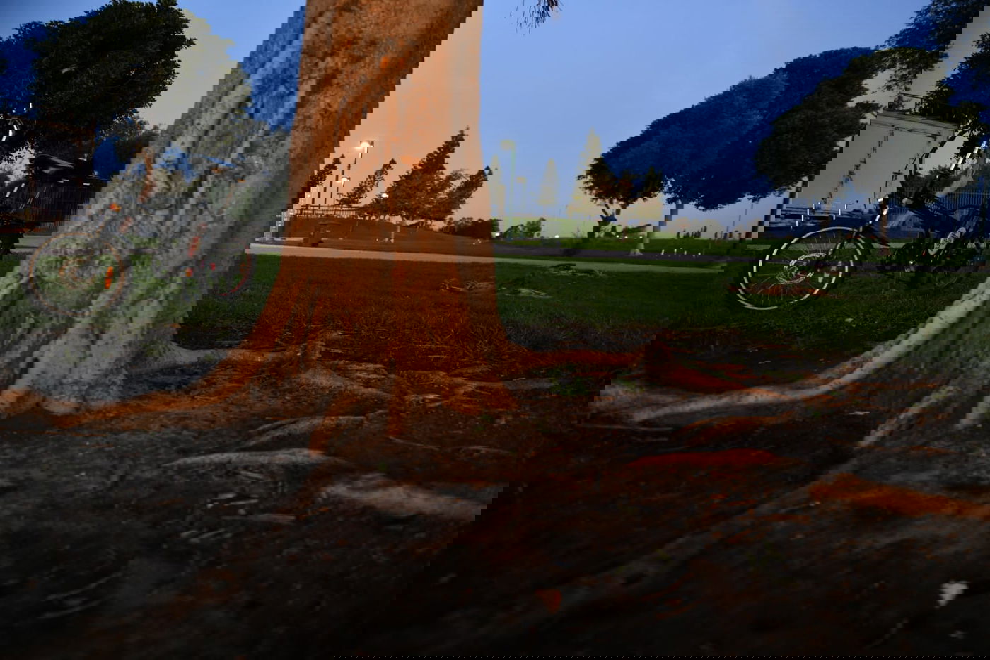 גלריית חורף מפארק מנחם בגין בתל אביב