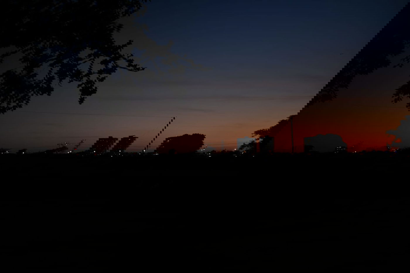 גלריית חורף מפארק מנחם בגין בתל אביב