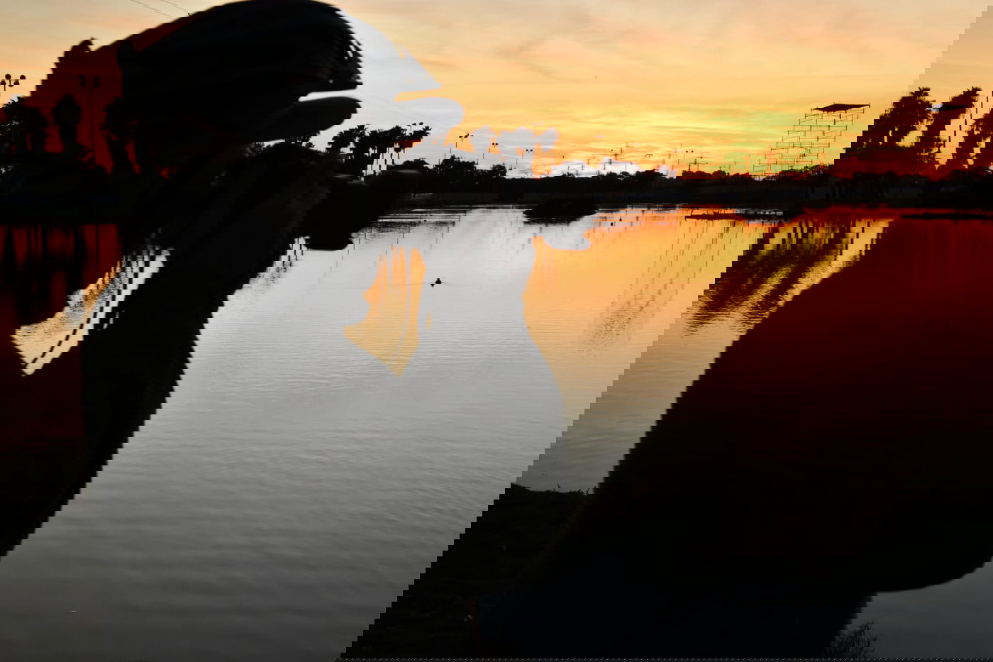 גלריית חורף מפארק מנחם בגין בתל אביב