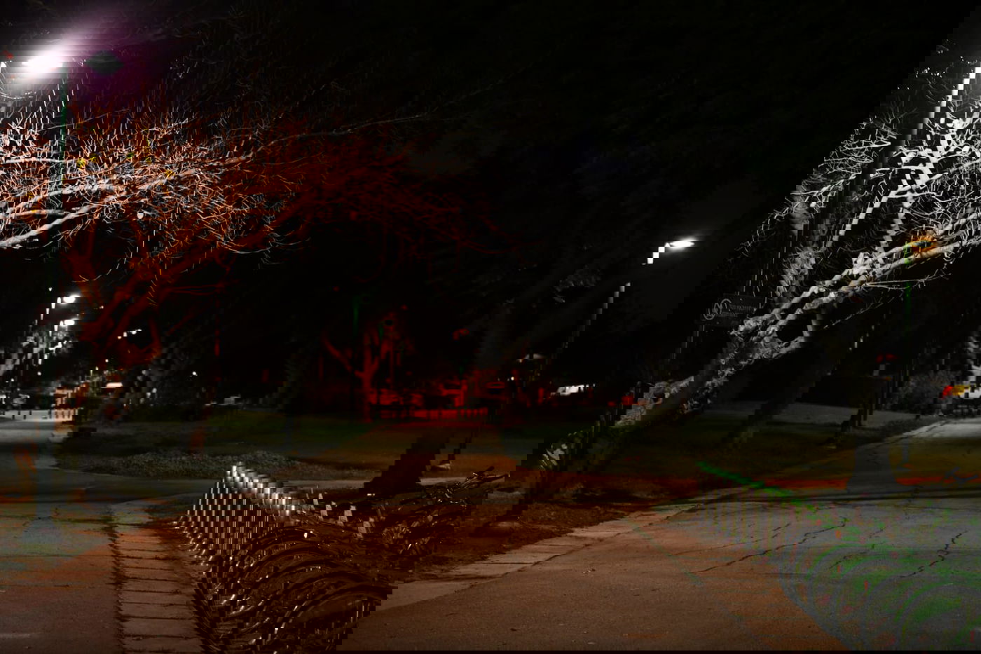 גלריית חורף מפארק מנחם בגין בתל אביב