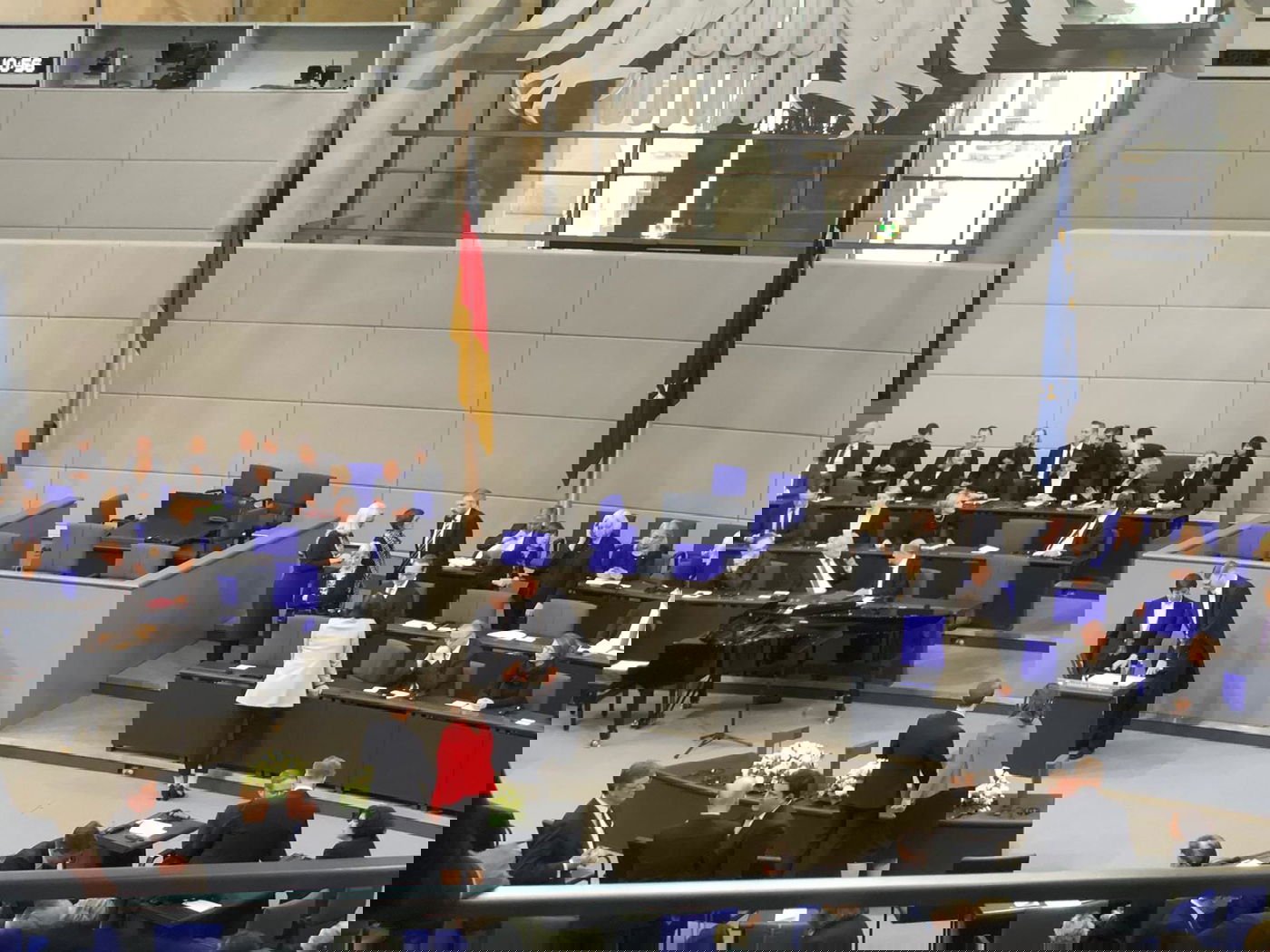 זופניק בכיכר • כל התמונות והנייעס של השבוע