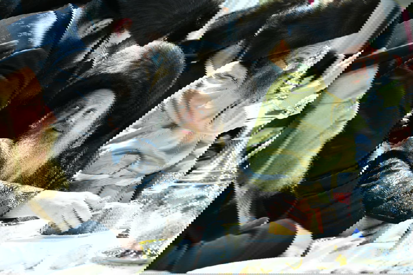 צפו: אלפים בחתונת בת המשפיע רבי מיילך בידרמן