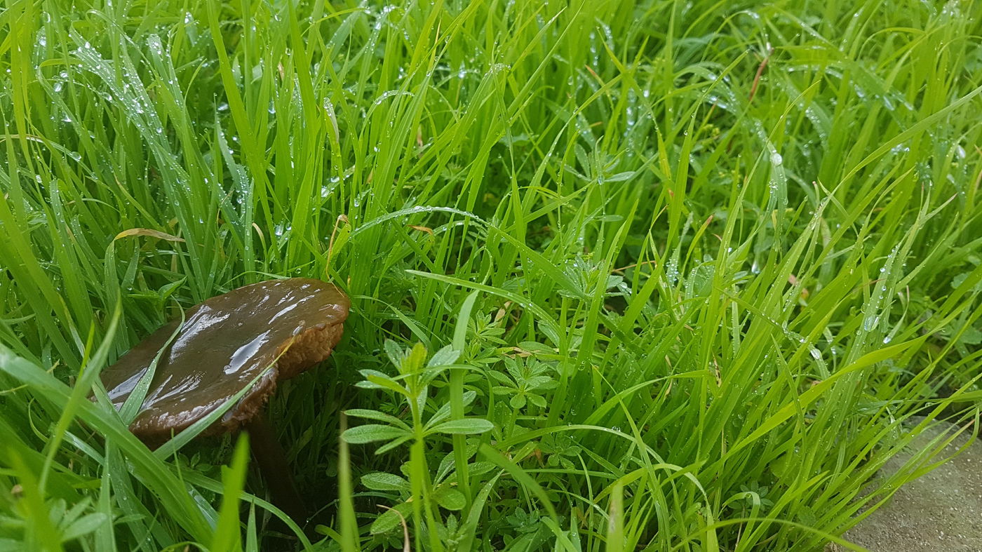צפו בגלריית חורף מרהיבה מצפון הארץ