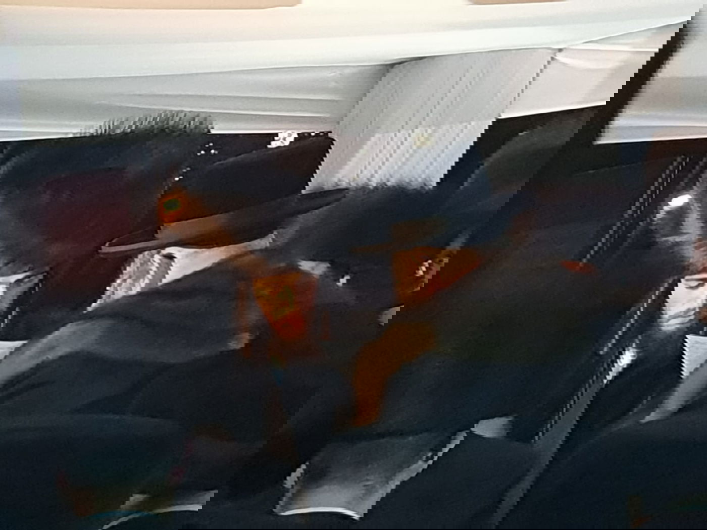 "מסתערבים" בחתונת בן סגן השר מאיר פרוש באנגליה