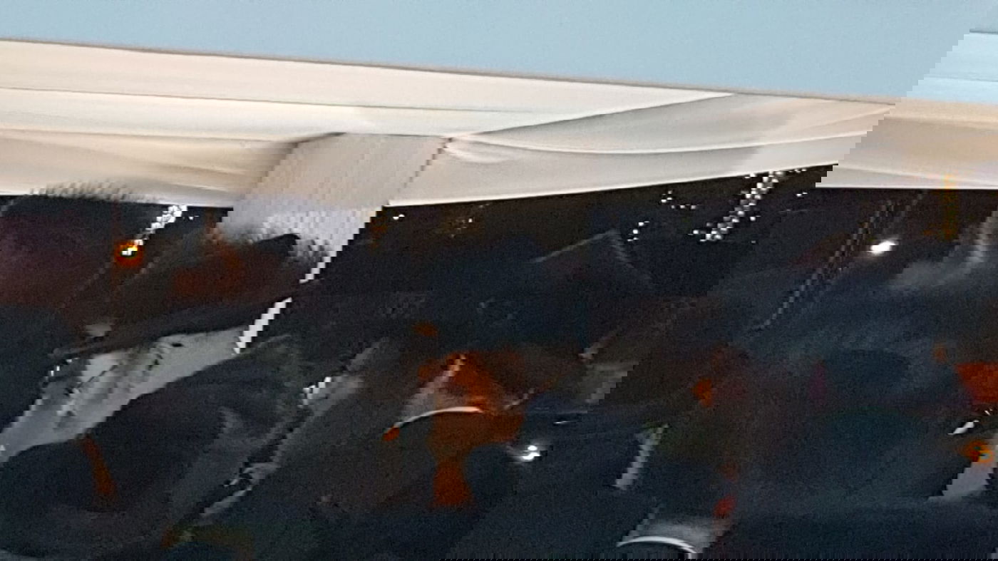 "מסתערבים" בחתונת בן סגן השר מאיר פרוש באנגליה