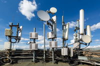 קליטה סלולרית | ארכיון