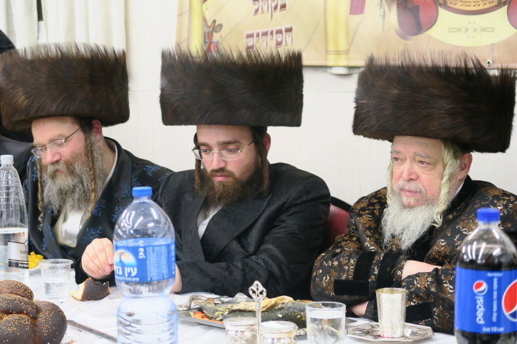 שמחת שבע ברכות בחצרות זידיטשוב-תוא"י