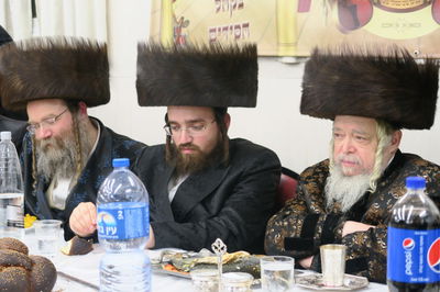 שמחת שבע ברכות בחצרות זידיטשוב-תוא"י