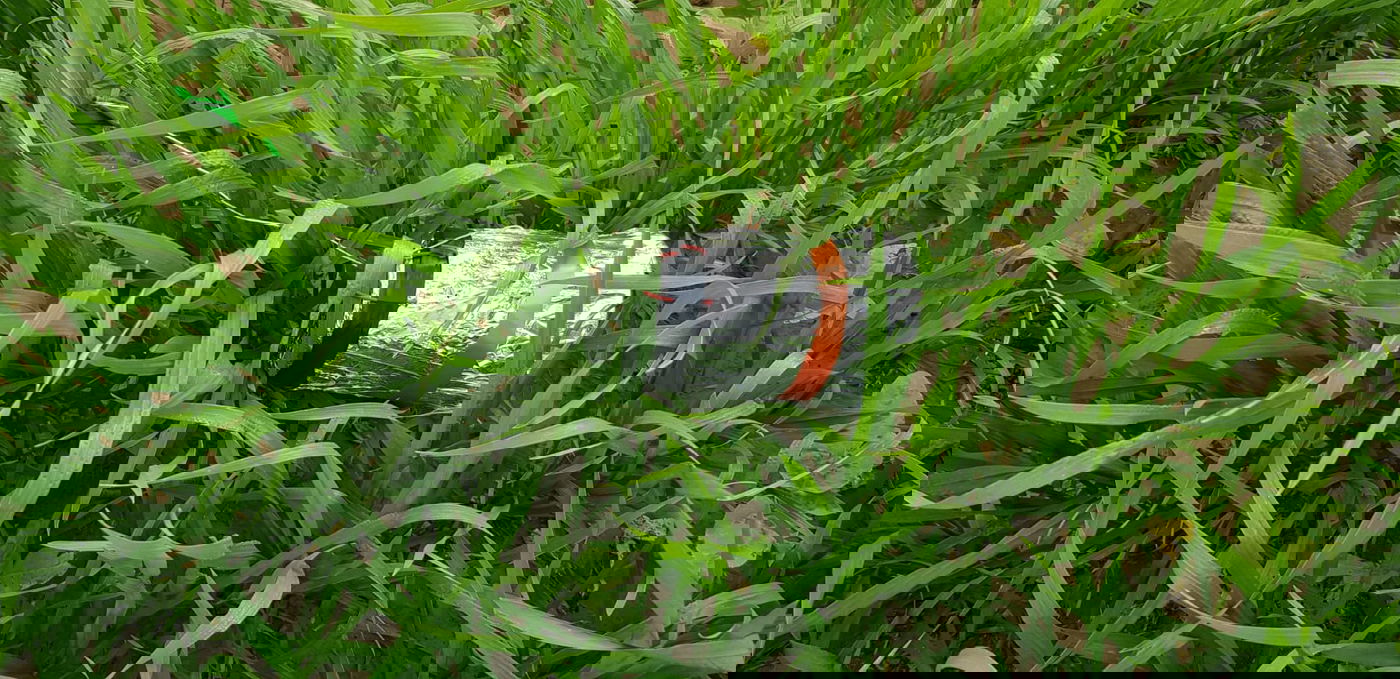 בלוני תבערה נחתו בערים שדרות וקרית גת