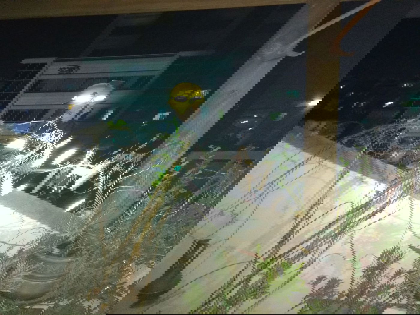 מטען הושלך על בניין מגורים וגרם לשריפה