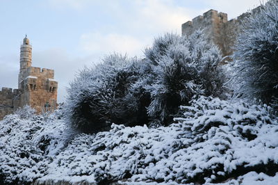 התחזית: השלג יגיע לירושלים בליל שבת?