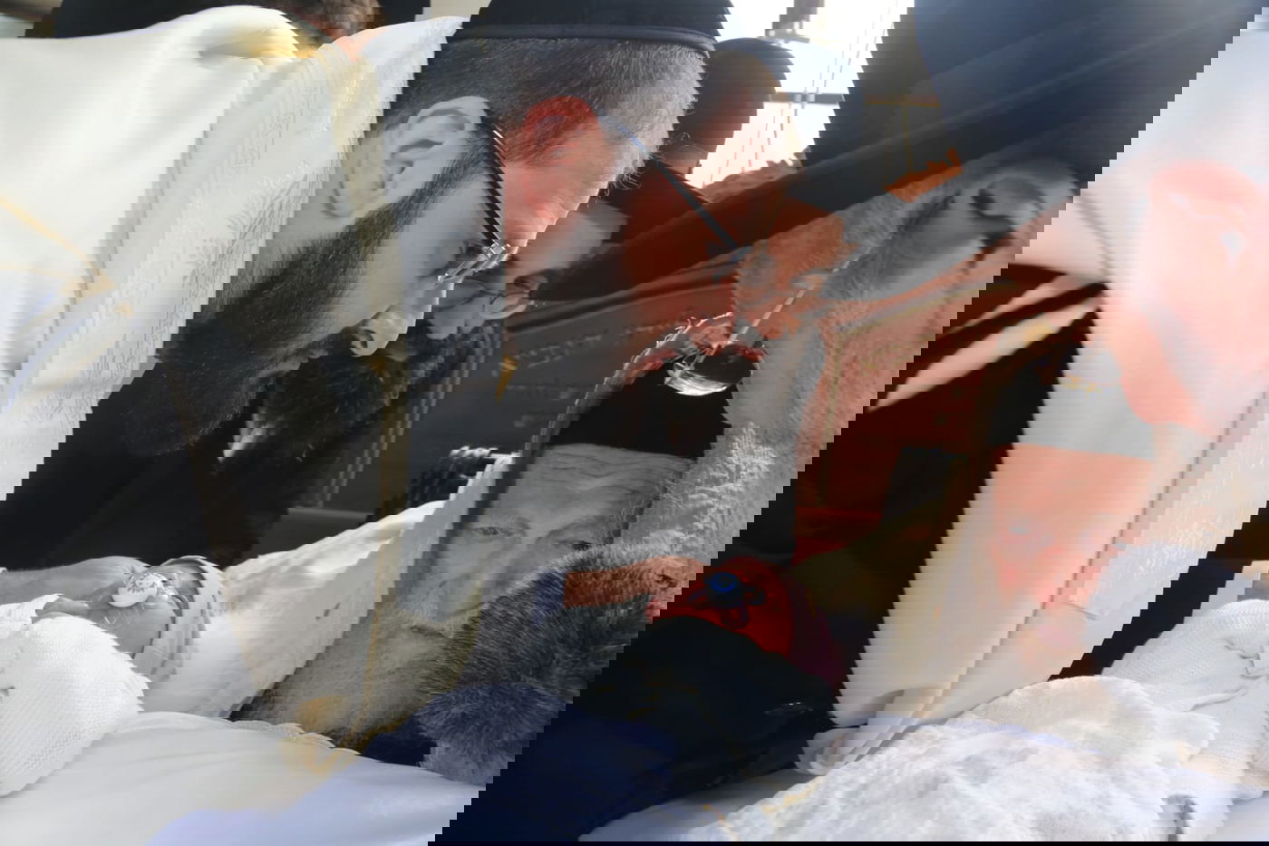 זופניק בכיכר • כל התמונות והנייעס של השבוע