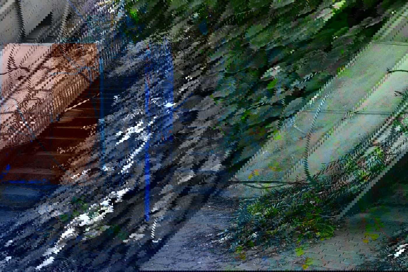 בין הסמטאות • צפו בתיעוד המיוחד של צפת